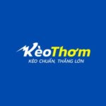 Photo de Profil de nhandinhkeothom1