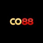 Photo de Profil de co88poker
