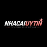 Photo de Profil de nhacaibetuytincom
