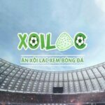 Photo de Profil de xoilaczbmtv