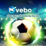 Photo de Profil de vebozbwcc