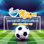 Photo de Profil de mitomzawcc