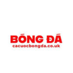 Photo de Profil de cacuocbongdacouk