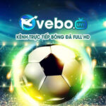 Photo de Profil de vebozcvcc